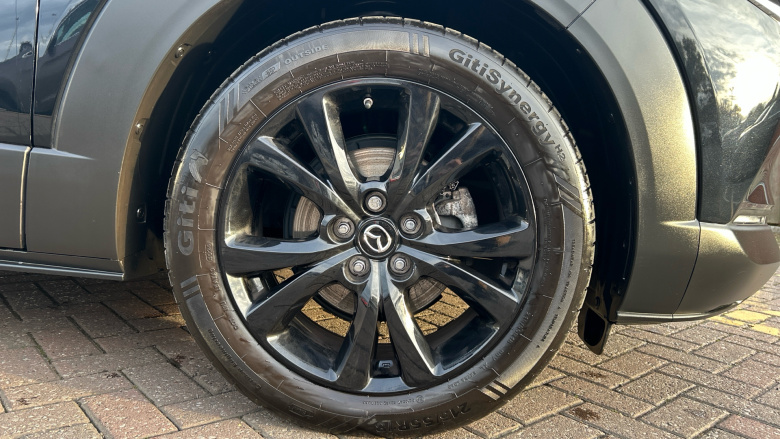 Mazda CX-30 2.5 e-Skyactiv G MHEV [140] Homura 5dr Petrol Hatchback